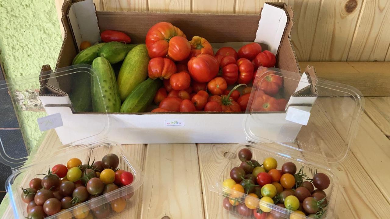 Ecovita Agri-Glamping 圣维托 外观 照片