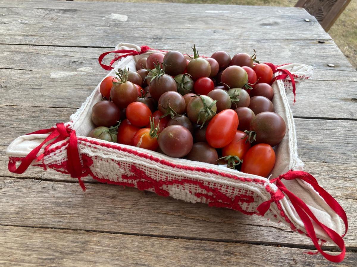 Ecovita Agri-Glamping 圣维托 外观 照片